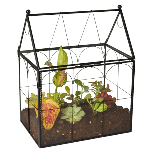 Großes Glaspflanzenterrarium mit Deckel – Tischplatte, Sukkulenten, geometrisches Glas-Terrarium, Klarglas-Pflanzenterrarien, 22 x 15 x 27,9 cm (Hausform mit Lippe) von Gimotar