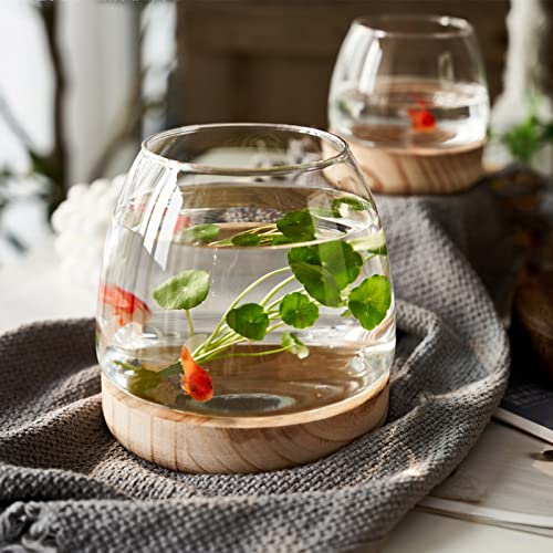 GisooM Mini-Fischtank, kleine Desktop-Glas-Fischschale/Vase, Hydrokultur-Pflanzen-Terrarium, ökologisches Aquarium, Glasblumenvase für Kampffische/Goldfische, B von GisooM