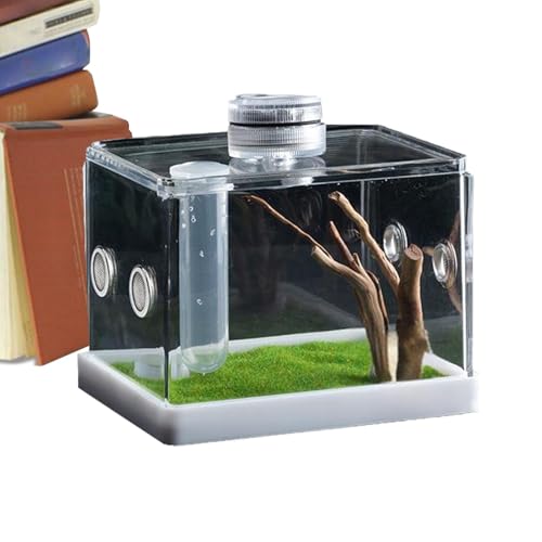 Reptile Hatching Box, Terrarium Enclosure with Feeding Container, Ventilated Breeding Box, Habitat Accessories for Small Reptiles, Spiders, and Aquatic Pets, 135g 225g von Gitekain