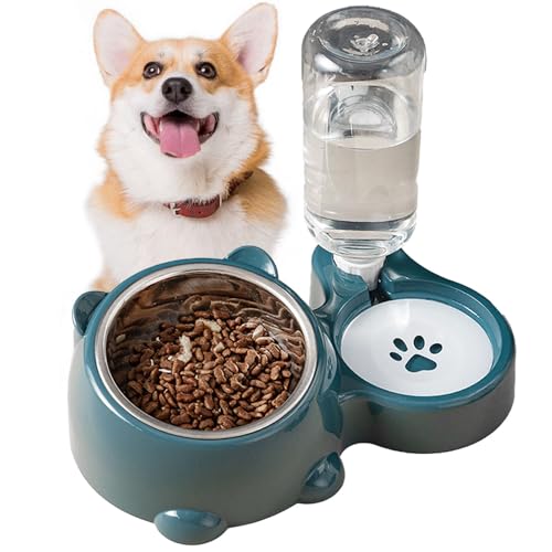 Stylish Pets Water Food Bowl Set, Double Bowls Feeder, Tilted Pet Bowl Set, Water and Food Dispenser, Stainless Steel Pet Bowls, Small Medium Pet Feeder, Convenient Pet Feeding, Hygienic Bowl Set von Gitekain