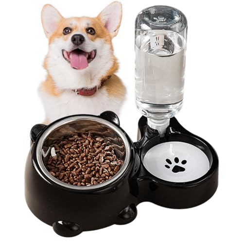 Stylish Pets Water Food Bowl Set, Double Bowls Feeder, Tilted Pet Bowl Set, Water and Food Dispenser, Stainless Steel Pet Bowls, Small Medium Pet Feeder, Convenient Pet Feeding, Hygienic Bowl Set von Gitekain