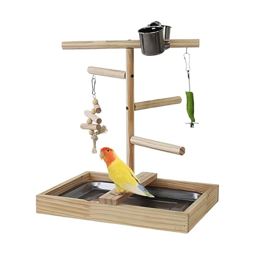 Vogelspielplatz, Vogelspielstudio, Vogelspielzeug mit Tablett, Vogellaufstall, Sitzstange für Vögel, Nymphensittich-Spielstudio, Sittich-Vogel-Gym, Vogelkäfig-Zubehör, interaktives Vogelspielzeug, von Gitekain