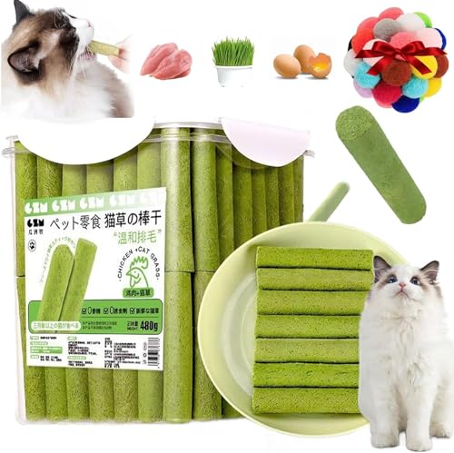 Giurui Berdexa Cat Grass Teething Stick, Cat Grass Sticks, Cat Grass Sticks, Grass Teething Stick Hairballs for Hairball Removal, Cadental Care (80Pcs) von Giurui