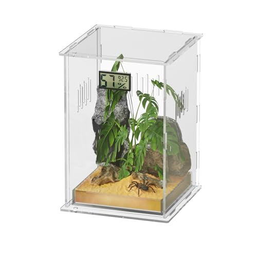 Giznzg Terrarium für Reptilien, Reptil Fütterungsbox, Acryl Terrarium mit Digitales Thermometer Hygrometer Reptilienzuchtbox für Spinne/Schnecke/Frosch/Eidechse/Schildkröte (30x18x18cm) von Giznzg