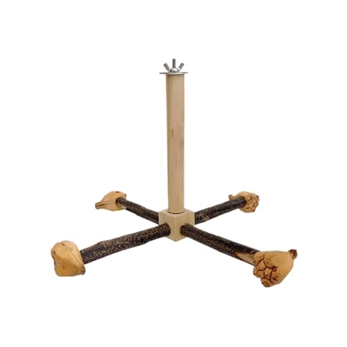 GjnjfdF Bird Stand Barsch Spielzeug, Holzbarschständer,Cockatiel rotierende Sitzstangen für Käfig - Hölzernen Trainingsrad -Papageienspielzeug für kleine Liebesvögel, Conures, Vögel von GjnjfdF