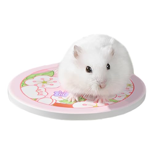 GjnjfdF Kühlmatte Für Hamster | rutschfeste Katzen Kühlunterlage - Vielseitige Schlafkühlmatte Für Käfig Auto Sofa Bett GjnjfdF Kühlmatte Für Hamster | rutschfeste Katzen Kühlunterlage - Vielseitige Schlafkühlmatte Für Käfig Auto Sofa Bett von GjnjfdF