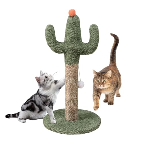 GkgWuxf Katze Kratzerpfosten, Cactus Cat Scratcher - Süße Katzenkratzer Post,Natural Sisal Pole mit interaktivem Ball, stabile Kätzchen -Kratzstangen für alle Innenkätzchen von GkgWuxf