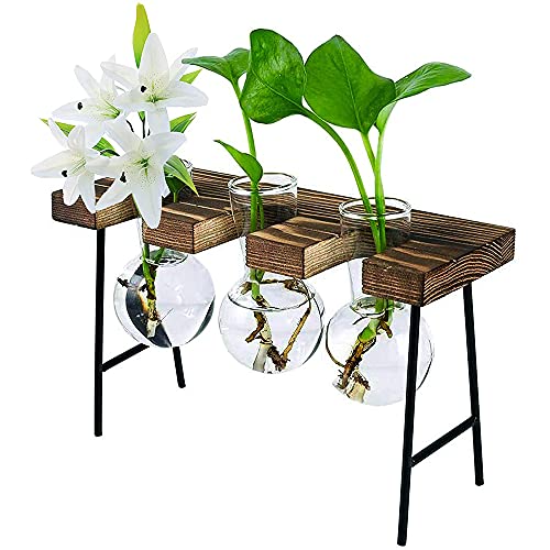 Glakyur Desktop-Pflanzenterrarium mit Holzständer, 3 Glühbirnen, Vasen, Glas-Pflanzgefäß für Pflanzen, Haus, Garten, Büro, Dekoration von Glakyur