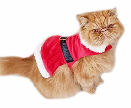 Glamour Girlz Festliches Weihnachts-Outfit für kleine Hunde und Katzen, Rot / Weiß von Glamour Girlz