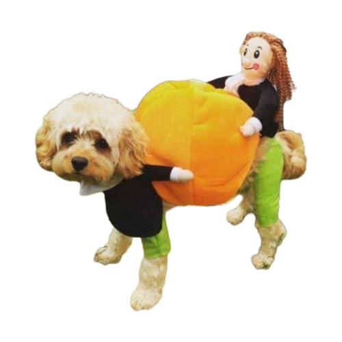 Lustiger Kürbis für Hunde, Cosplay-Kostüm, hält Kürbis, weich, bequem, Kostüm-Zubehör, Verkleidungszubehör, Halloween-Outfits für kleine Hunde von Glanhbnol