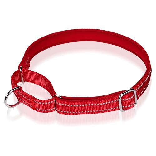 Reflektierendes Martingale-Hundehalsband, NoBuckle Trainingshalsband für Kontrolle und Sicherheit. Service-Hundehalsband erhältlich in einer lebendigen, bunten Kollektion, geeignet für kleine, von Glanhook