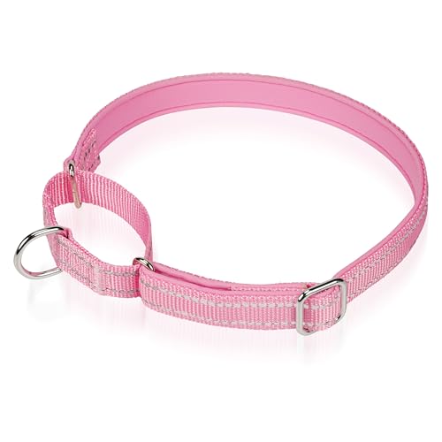 Reflektierendes Martingale-Hundehalsband, NoBuckle Trainingshalsband für Kontrolle und Sicherheit. Service-Hundehalsband erhältlich in einer lebendigen, farbenfrohen Kollektion, geeignet für kleine, von Glanhook