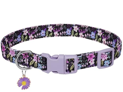 Verstellbares, weiches Polyester-Hundehalsband: mit einem niedlichen und bezaubernden speziellen Design, perfekt für kleine, mittelgroße und große Hunde. Langlebig, bequem und ideal für den täglichen von Glanhook