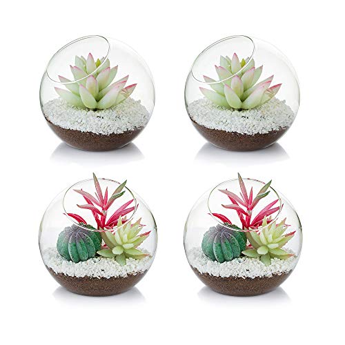 Glasluftpflanzenterrarium, 12 cm Kleines Terrarium, 4-TLG. Tischglas-Terrariumbehälter, Tischvitrinen-Topf-Innendekor für Sukkulenten, Kakteen, Kerzen von Glasseam