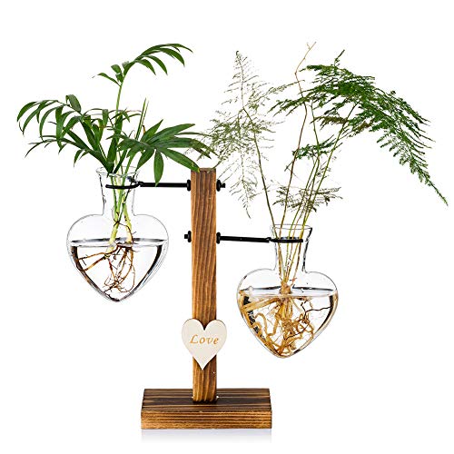 Glaspflanzenterrarium mit Holzständer, kreative Doppelherz-Glashydroponikvasen, Moderne Pflanzenvermehrungsstation Desktop-Pflanzer-Zwiebelvase von Glasseam