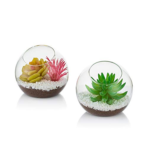 Glas-Luftpflanzenterrarium, 10 cm Mini-Terrarium, 2-teilige Tisch-Glas-Terrarium-Behälter, Tischvitrine Topfdekor für Sukkulenten, Kakteen, Kerzen von Glasseam