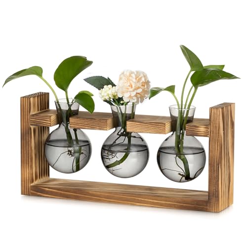 Glasseam Pflanzen Propagation Station für Wohnzimmer: Kleine Vase Glas Mini Terrarium mit Holz Rahmen für Home Büro Regal Tischdeko Fensterbank - Grau Blumenvase Vintage Deko für Plant Hydrokultur von Glasseam