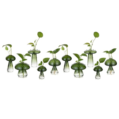 Glasseam Pilzpflanzen-Anzuchtstationen - Grünes Glas-Terrarium-Glas Set mit 10 niedlichen Pflanzgefäßen für Zimmerpflanzen, Mini-Anzuchtstation, einzigartige Weihnachtsgeburtstagsgeschenke für Frauen, von Glasseam