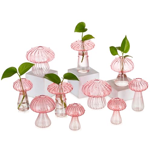 Glasseam Pilzpflanzen-Anzuchtstationen: Rosa Glas-Terrarium-Glas, Set mit 10 niedlichen Pflanzgefäßen für Zimmerpflanzen, Mini-Anzuchtstation, einzigartige Weihnachtsgeburtstagsgeschenke für Frauen, von Glasseam