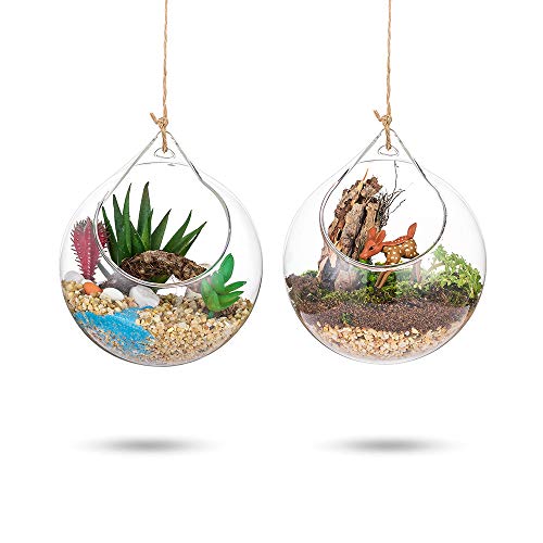 Hängende Glaskugel Vase Glaskugel 2 Pcs Große Öffnung Sukkulenten Aufhängen Terrarium Glas Flower Air Pflanzgefäß Container 4 Inches für Home Party Hochzeitsgarten DIY Desig von Glasseam