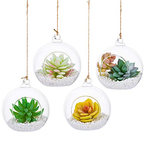 Hängende Glaskugel Vase Glaskugel 4 Pcs Große Öffnung Sukkulenten Aufhängen Terrarium Glas Flower Air Pflanzgefäß Container 4 Inches für Home Party Hochzeitsgarten DIY Desig von Glasseam