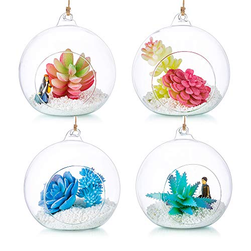 Hängende Glaskugel Vase Glaskugel 4 Pcs Große Öffnung Sukkulenten Aufhängen Terrarium Glas Flower Air Pflanzgefäß Container 4.72 Inches für Home Party Hochzeitsgarten DIY Desig von Glasseam