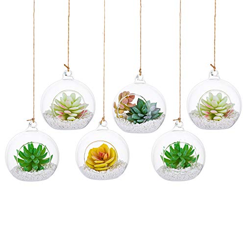 Hängende Glaskugel Vase Glaskugel Große Öffnung Sukkulenten Aufhängen Terrarium Glas Flower Air Pflanzgefäß Container 4 Inches für Home Party Hochzeitsgarten DIY Desig (10cm 6Stck, Clear) von Glasseam