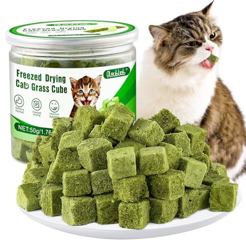 50g Katzengras Snack, Katzengras Sticks Natürlich Getrocknet Snacks für Katzen für Haarballenentfernung und Zahnpflege, Katzenminze, Cat Grass Stick von Glaublieb