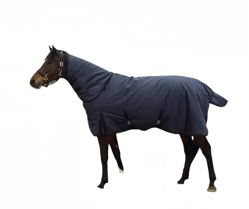 Pferdedecke – inklusive Nackenband, abnehmbar und waschbar, bewegungsfreundlich, for alle Jahreszeiten und Klimazonen geeignet(Black,(115cm Rückenlänge)) von Glenmi