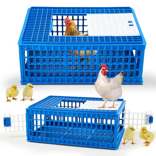 GlikCeil 2 Stück Geflügel-Transportkäfig 3 Türen Hühner-Transportkäfig Kunststoff Hühnerkäfig Geflügelträger Korb Box für Huhn Ente Gänsevögel, 75 x 55 x 29 cm, Blau von GlikCeil