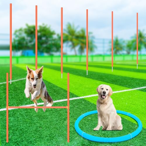 Glimin Agility-Trainingsgerät für Hunde, Agility-Set, Trainingsset, Hinderniskurs, Hinterhof, inklusive gewebten Stangen, verstellbare Hürdenpause, Outdoor-Spiele für Hunde, Haustiere, drinnen und von Glimin