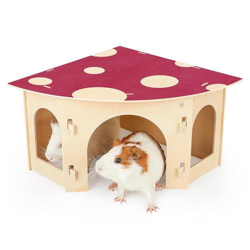 Glittme Meerschweinchenversteck in Fächerform, Hamsterversteck aus Holz, geräumiges Kaninchenhaus mit abnehmbarem Oberteil, Kaninchenversteck für Meerschweinchen, Kaninchen, Hase, Hamster von Glittme