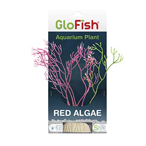 GloFish Rote Algenpflanze, Aquarium-Dekoration, rot, klein, fluoreszierend unter blauem LED-Licht von GloFish