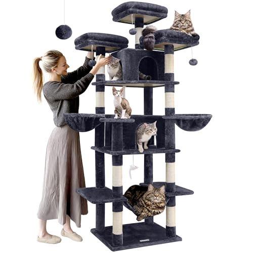 Globlazer F80 Big Cat Tree, 203.2 cm Katzenturm für Indoor Katzen Mehrere Erwachsene Katzen XXL Katzenbaum Großer Katzenturm mit Kratzbaum, Hängematte, 3 Sitzstangen, 2 Höhlen, 2 Hängekorb, Dunkelgrau von Globlazer