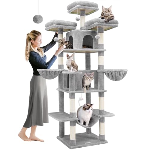 Globlazer F81 Kratzbäume und Türme für große Katzen, 205,7 cm hoher Katzenbaum Turm für Indoor-Katzen, riesiger Katzenbaum mit Hängematte, Kratzbaum, 2 Katzenhöhlen, 3 obere Sitzstangen, 2 Hängekorb, von Globlazer