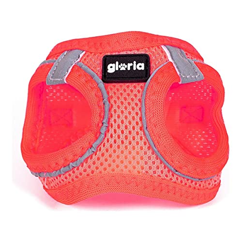 Arnés/Vestido Air Mesh Trek Star von Gloria