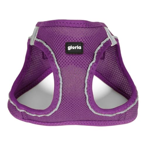 Gloria Air Mesh Trek Star Hund Geschirr, Lila, Sportlich, Modern von Gloria