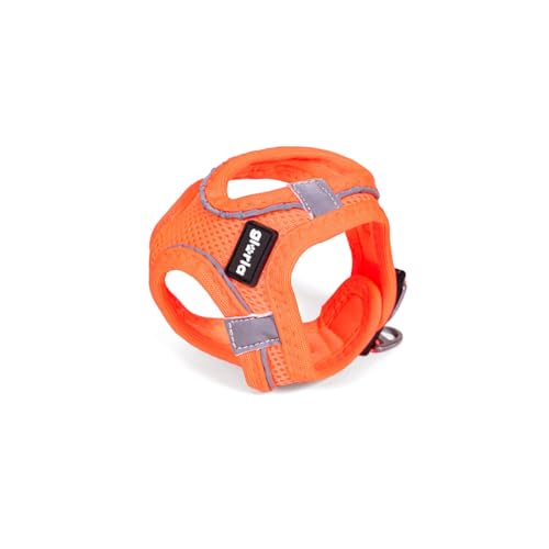 Gloria Trek Star Hundegeschirr, 29,4-32,6 cm, 41,4-43 cm, Orange, Größe S von Gloria