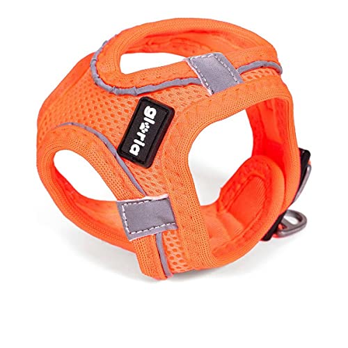 Harnais pour Chien Gloria Air Mesh Trek Star Réglable Orange Taille XXXS (18-20 cm) von Gloria