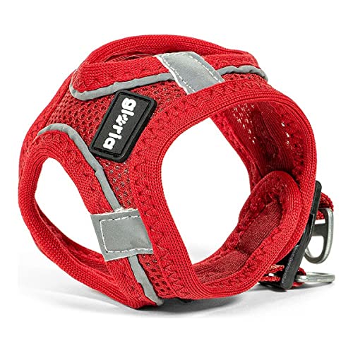 Harnais pour Chien Gloria Air Mesh Trek Star Réglable Rouge Taille XXXS (18-20 cm) von Gloria