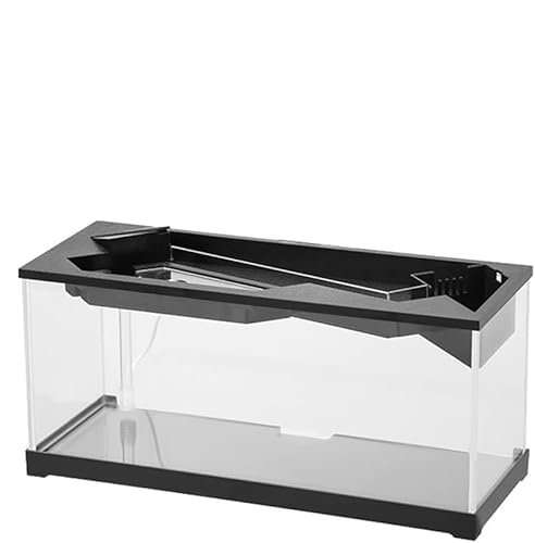 Glorlliant Desktop-Aquarium, kleines Betta-Fischbecken mit Luftpumpe, Aquarium-Starter-Kits, ökologisches Zyklussystem, zirkulierende Heizung, Beleuchtung, Desktop-Fischtank, 38 x 14,5 x 18 cm von Glorlliant