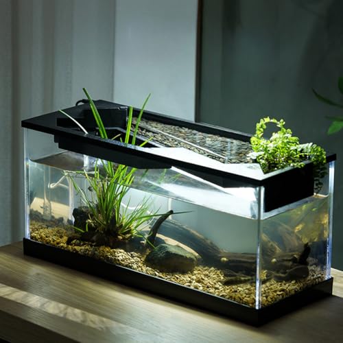 Glorlliant Desktop-Fischbecken mit Luftpumpe, Aquarium und Licht, Aquarium-Starter-Kits, ökologisches Zyklussystem, zirkulierende Heizung, Beleuchtung, Desktop-Fischtank, 38 x 14,5 x 18 cm von Glorlliant