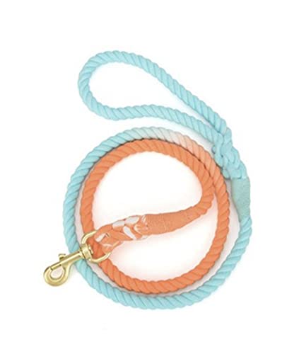 Handgefertigte Ombre Hundeleine mit Karabinerhaken, Tie Died Rope Leash für kleine, mittelgroße und große Hunde (orange-blau) von Glow Pups