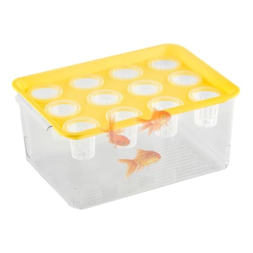 Aquaponischer Pflanzer und Aquarium für Fische, Aquaponic Pflanzer und Aquarium für Betta Fish,Desktop -Aquarium - Betta Fischtankpflanzen Stecklinge Propagationsstation für Desktop -Dekorationen von Glugahrif