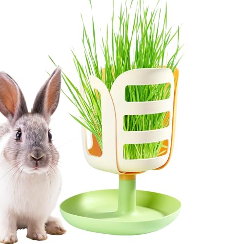 Hay Feeder, Kaninchen Katzentoilette mit Hay Feeder,Blumenform Heuhalter PP Kaninchen Feeder mit Bodenschalendesign | Bunny Accessoires, Food Bowl, Small Animal Feeding für das chinesische Neujahr, Va von Glugahrif