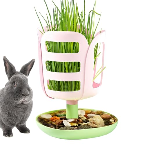 Hay Feeder Kaninchen, Kaninchen Food Bowl - Blumenform Heuhalter PP Kaninchen Feeder mit Bodenschalendesign | Bunny Accessoires, Food Bowl, Small Animal Feeding für das chinesische Neujahr, Valentinst von Glugahrif