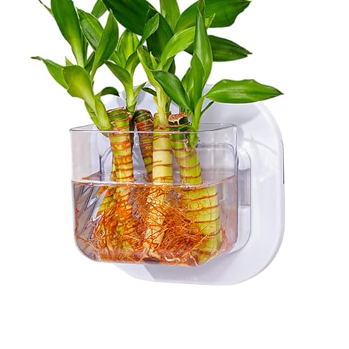 Gmokluytw Wandfischtank, Wandfischtopf | Kleine Wandmontierblumenvase - Dekorative kompakte Aquariumfischschalen für Schlafzimmer, Küche, Wohnung, Schlafsaal von Gmokluytw