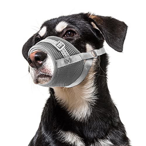 GoGoPaw Maulkorb für Hunde, weicher Air-Mesh-Maulkorb für große Hunde, verstellbarer Haustier-Maulkorb für kleine und mittelgroße Hunde, um frei zu trinken, atmungsaktiv, reflektierender Maulkorb für von GoGoPaw