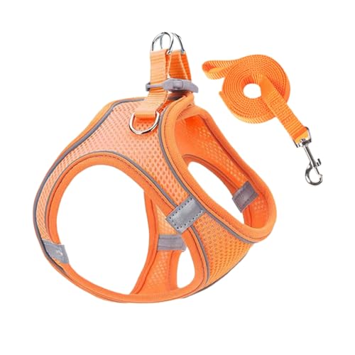 Godpqiui Hundegeschirr Und Leinen Set | Reflektierendes Würgefreies Sicherheitsgeschirr,Reflektierende Welpen Kätzchen Katzengeschirr für Autoreisen Training Tierarztbesuche Outdoor Nachtspaziergänge Godpqiui Hundegeschirr Und Leinen Set | Reflektierendes Würgefreies Sicherheitsgeschirr,Reflektierende Welpen Kätzchen Katzengeschirr für Autoreisen Training Tierarztbesuche Outdoor Nachtspaziergänge von Godpqiui