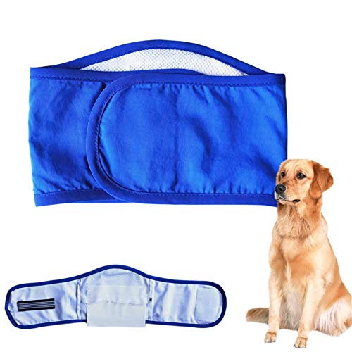 Gofeibao Hundewindeln Rüde Hundewindel Hosen für Hunde in der Saison Windeln für Rüden Welpenwindeln Hundesaison Hosen Hundebauchbänder männlich Blue,xs von Gofeibao